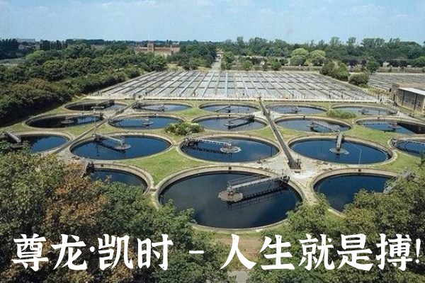 尊龙凯时人生就是搏!官网